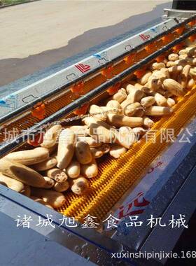 猪头蹄毛辊清洗设备厂家直发毛刷清洗机头蹄副产品加工清洗机器