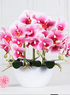 工DPP厂蝴直销蝶兰仿真花摆件客厅手桌感花假花面花兰艺餐桌花娟