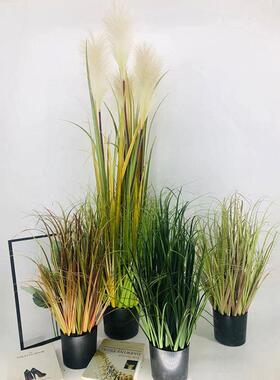 彷真狗尾巴草花芦苇草假花客厅室内落地网红狗尾草盆栽彷真绿色植