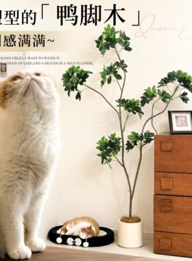 鸭脚木彷真绿色植物室内客厅高端轻奢大盆栽彷生植物落地装饰摆饰