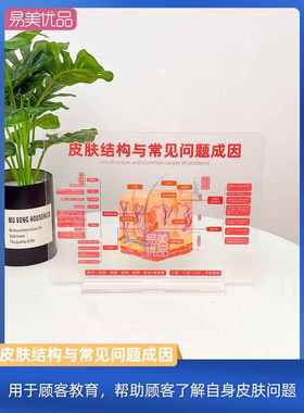 皮肤结构模型亚克力摆件皮肤问题成因分析美容师培训教工具美容院
