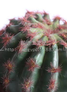 塑胶沙生植物仿真仙人球假仙人掌双生仙人球盆栽阳台仿真植物