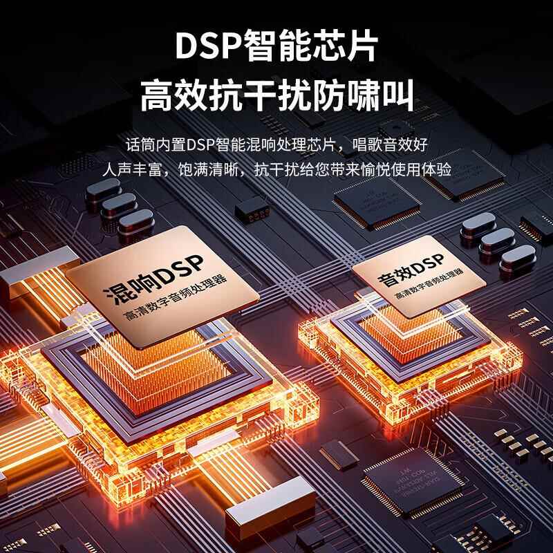 Lang MC20 handheld rechargeable wireless microphone U-section home KTV singing stage hosting speech conference speaker