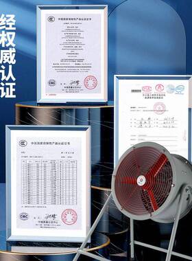 防爆轴流风机换气工业排风扇380V抽风机电机风扇220V管道岗位带脚