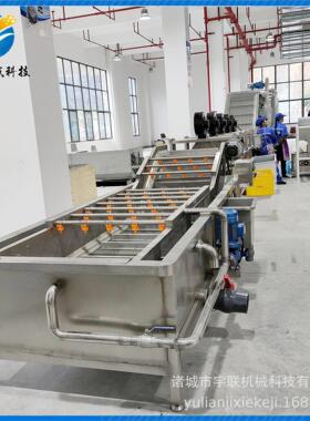 宇果蔬气联清洗机 全自动净菜加泡备工设 枸杞橘宇联子蔬菜清洗机