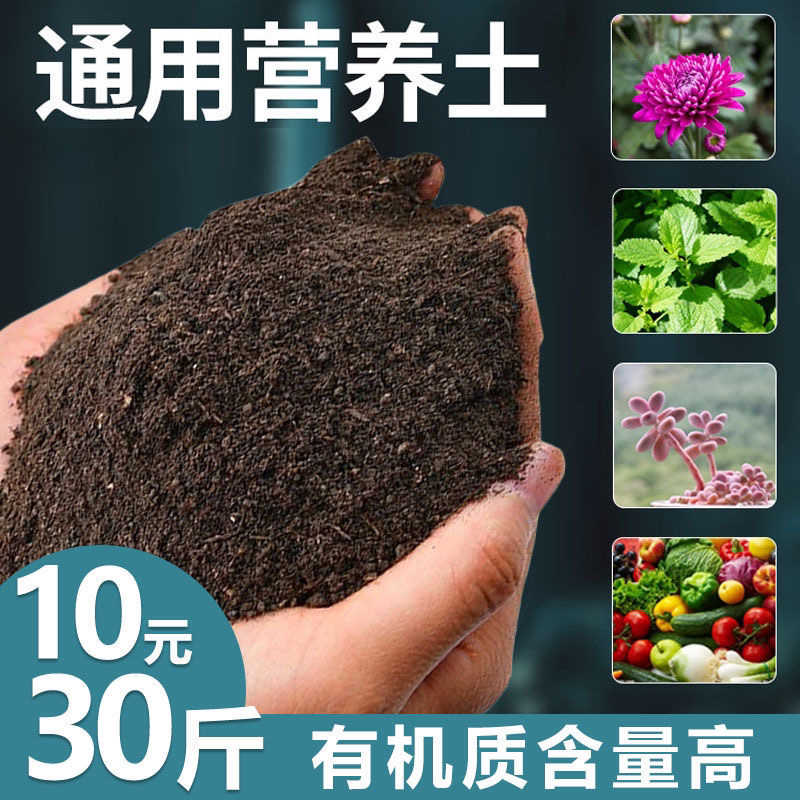 种植物土壤 新人首单立减十元 22年3月 淘宝海外