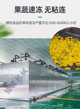 商用连续式流态化速冻机玉米粒毛豆仁青豌豆草莓芒果流态化速冻机