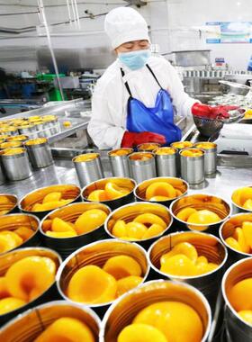 食品级材质 全套水果罐头加工设备 500-5000kg/h黄桃罐头生产线