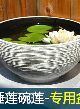 碗莲盆加厚塑料树脂花盆客厅阳台水培睡莲一叶莲铜钱草养鱼乌龟缸