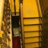 Yitian stair step mat new Chinese style spiral staircase glue-free self-absorbing self-adhesive non-slip corner full carpet customization