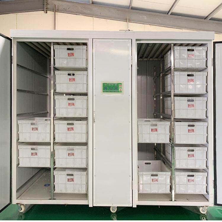 Bean sprout machine commercial intelligent raw bean sprout equipment fully automatic stainless steel bean sprout machine bean sprout machine type 60