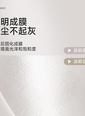罩面漆防水防晒涂料乳胶漆室内自刷水性罩光漆墙面哑光透明清漆亮