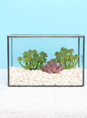 生态瓶青苔微景观盒子玻璃房盆景苔藓微缩森林缸桌面花盆摆件长方