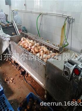 小型家用水果蔬菜清洗机去除泥土农残留毛棍去皮机厂家