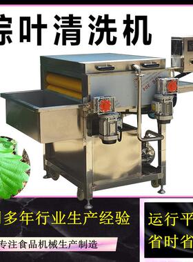 全自动粽子粽叶清洗机箬竹叶芦苇叶毛刷清洗机粽子加工设备佳鸿