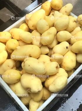 工厂直销金刚砂辊清洗去泥机根茎类果蔬毛辊清洗去皮设备