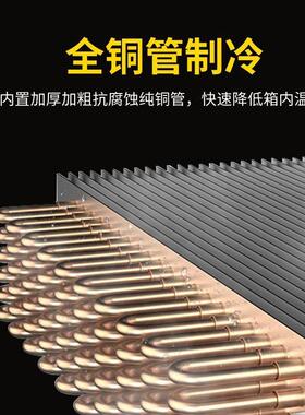 麻辣烫展示柜冷藏冷冻商用设备立式保鲜点菜串串冒菜风幕柜冰箱