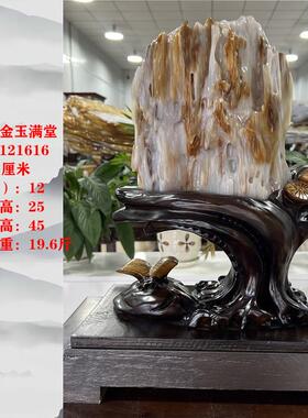 缅甸树化玉天然树化石原石木化玉奇石木化石家居客厅书房博古摆件