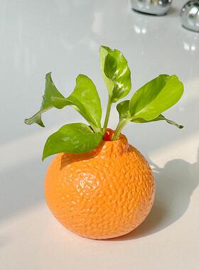 橘子小花瓶摆件家用客厅插花水培鲜花插花轻奢高级感设计感小众