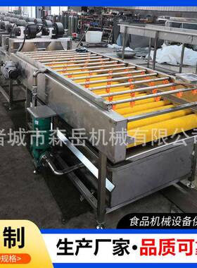 橄榄果鸡蛋果清洗机304不锈钢山东诸城工厂水果平行毛刷洗果机