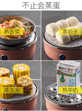 110V220V名友煮蒸蛋器304不锈钢自动断电蒸蛋器早餐机美英规家电