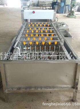 蔬菜清洗线净菜加工 砂糖橘沃柑清洗打蜡流水线 果蔬气泡清洗机