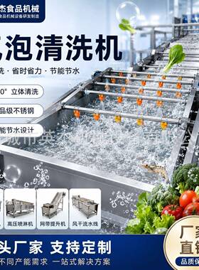 荠菜马齿苋蒲公英气泡清洗机全自动野菜去泥去杂设备鼓泡喷淋清洗