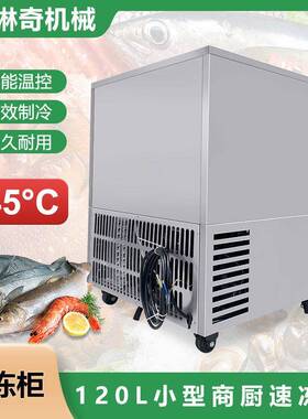优选小型商用120L容量速冻柜海鲜肉类丸子极速冷冻食品持久保鲜
