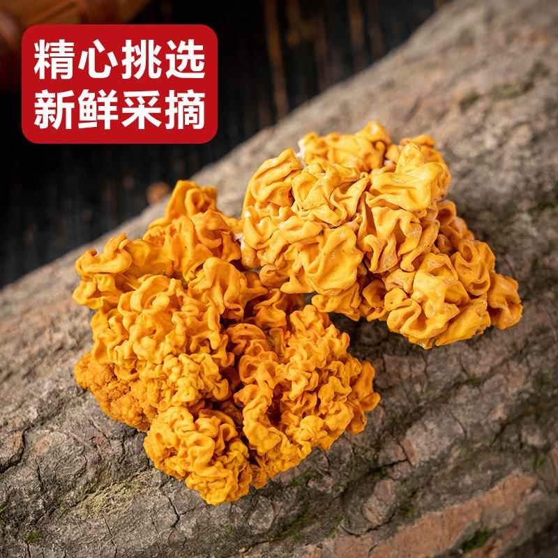 金耳菌干货500g云南黄金耳菌特产金银耳银耳莲子羹白木耳丑耳