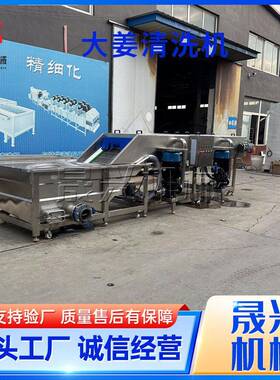 材连续式去泥沙清洗设备当归压喷淋清洗机大姜黄姜清洗机