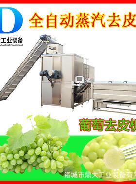 葡萄蒸汽去皮机罐头加工剥皮机速冻葡萄加工设备鼎大工业