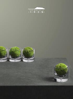 天青苔绿 现代新中式玻璃花器永生苔藓球 样板间茶几展柜书桌摆件