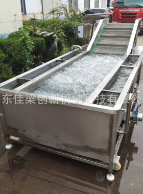 多功能蔬菜气泡清洗机土豆芹菜苹果橘子海鲜水果