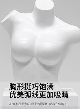 内衣模特道具女半身人台聚拢文胸男士内裤胸膜服装店展示架全身