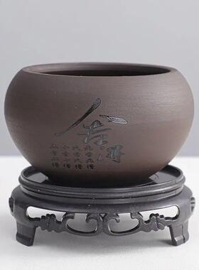 铁杆文竹盆栽桌面净化空气植物室内四季好养绿植茶桌禅意紫砂盆景