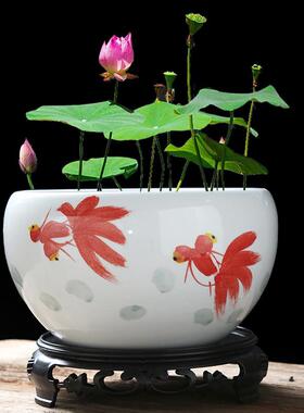 陶瓷铜钱草鱼缸大号桌面养金鱼缸乌龟缸碗莲睡莲盆荷花缸无孔盆钵