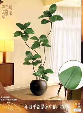 高端无障碍豪华橡胶树模拟绿色植物客厅盆栽室内彷生植物假树地板