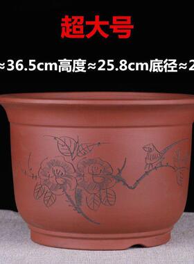 花盆 陶盆大陶瓷大号特大号陶瓷兰花盆绿萝吊兰阳台种菜