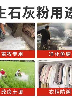 生石灰厂家直发石灰粉养花种菜杀虫改良土壤防潮防虫氧化钙绿植