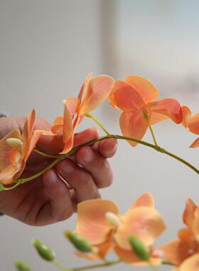 中式仿真蝴蝶兰花艺摆件假花绢花装饰客厅电视柜室内盆栽创意摆设