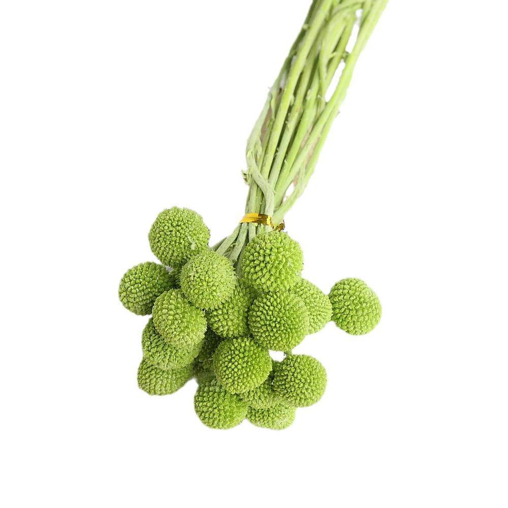 黄金球 黄金果 永生花花材DIY材料配材 永生花礼盒玻璃罩花环材料,淘宝优惠券,粉丝福利购,淘宝优惠卷