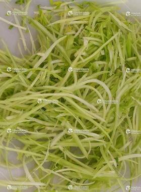 工厂直销小型台式切葱丝机商用家用芹菜梗蔬菜切丝机大葱切葱机
