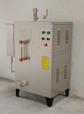 不锈钢36kw电加热蒸汽发生器小型36kw电热蒸汽锅炉工业电蒸汽机