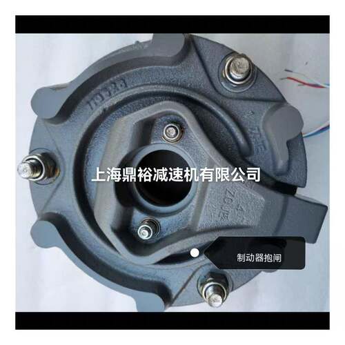进口BM1HFW00NM40BMG1HF0AC电制动器45K电机磁抱闸总成现货配件 - 图1