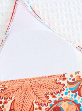 Women ' s Paisley Print Bikini Set , Casual Fashion Chic