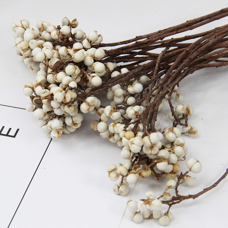 十字果开心果白果永生花干花植物散装花卉DIY无火香薰蜡烛花材,淘宝优惠券,粉丝福利购,淘宝优惠卷