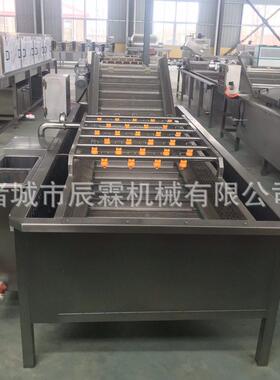 水果果蔬清洗机气泡洗菜机土豆净菜蔬菜加工涡流清洗设备