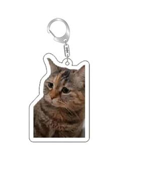 Rambling Goat Huh Cat Meme Keychain Confused Cat Memes Cat S