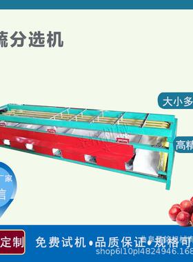 商用金桔分选机 轨道式杨梅樱桃选果机 树葡萄橄榄分级机