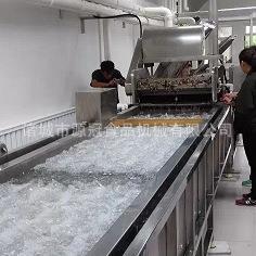 鱼虾解冻机常温水鸡爪鸭脖快速化冻机肉制品海产品解冻流水线设备